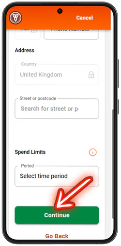 LeoVegas Casino Continue button below the form