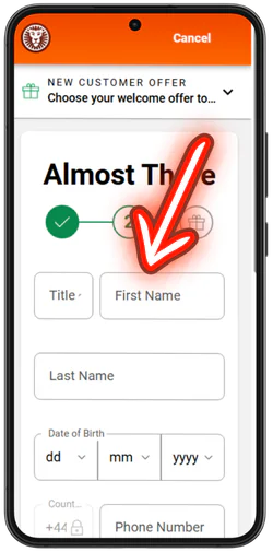 LeoVegas Casino personal data entry step