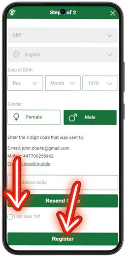 Mr. Vegas Casino age confirmation and final registration step